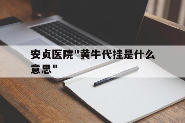 关于安贞医院"黄牛代挂是什么意思"的信息